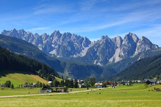 Pension Edelweiss Appartement Wimmer Gosau Exterior foto