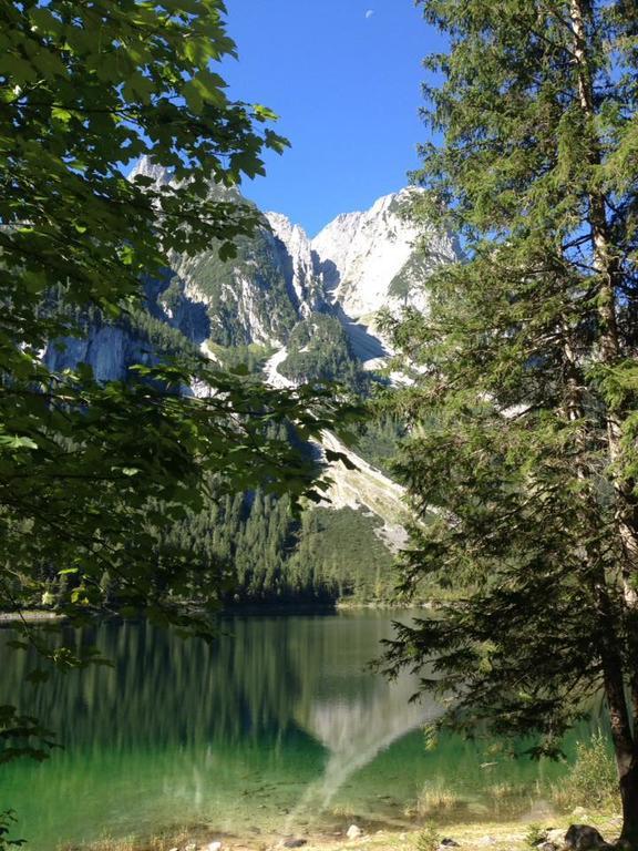 Pension Edelweiss Appartement Wimmer Gosau Exterior foto