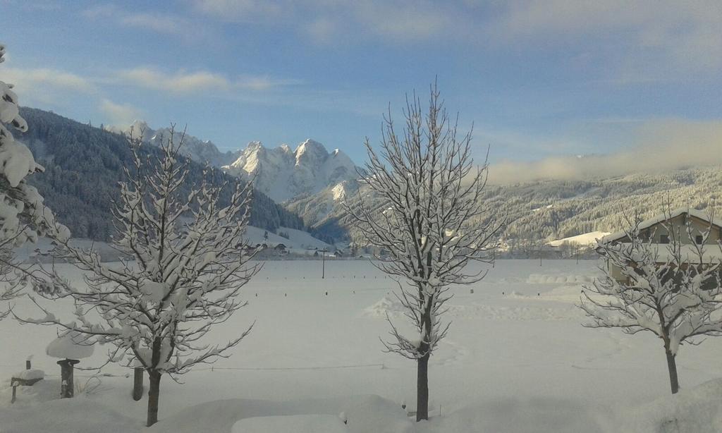Pension Edelweiss Appartement Wimmer Gosau Exterior foto