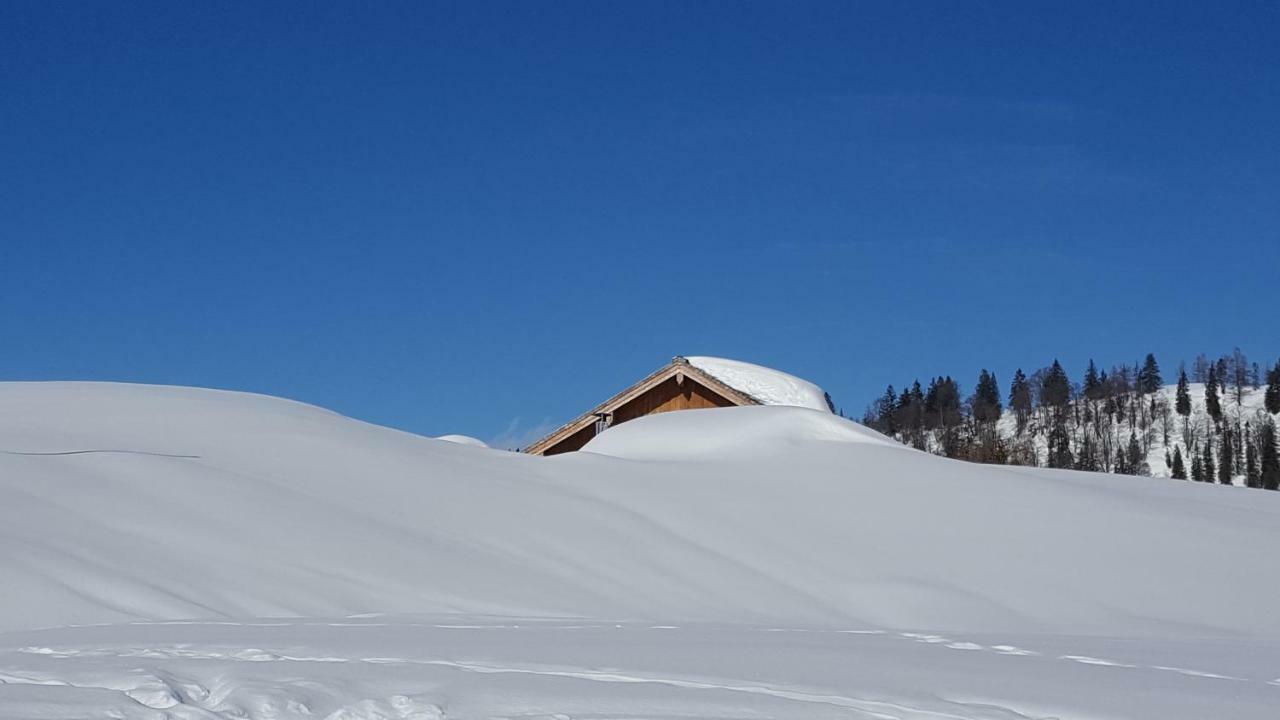 Pension Edelweiss Appartement Wimmer Gosau Exterior foto