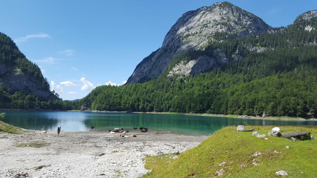 Pension Edelweiss Appartement Wimmer Gosau Exterior foto