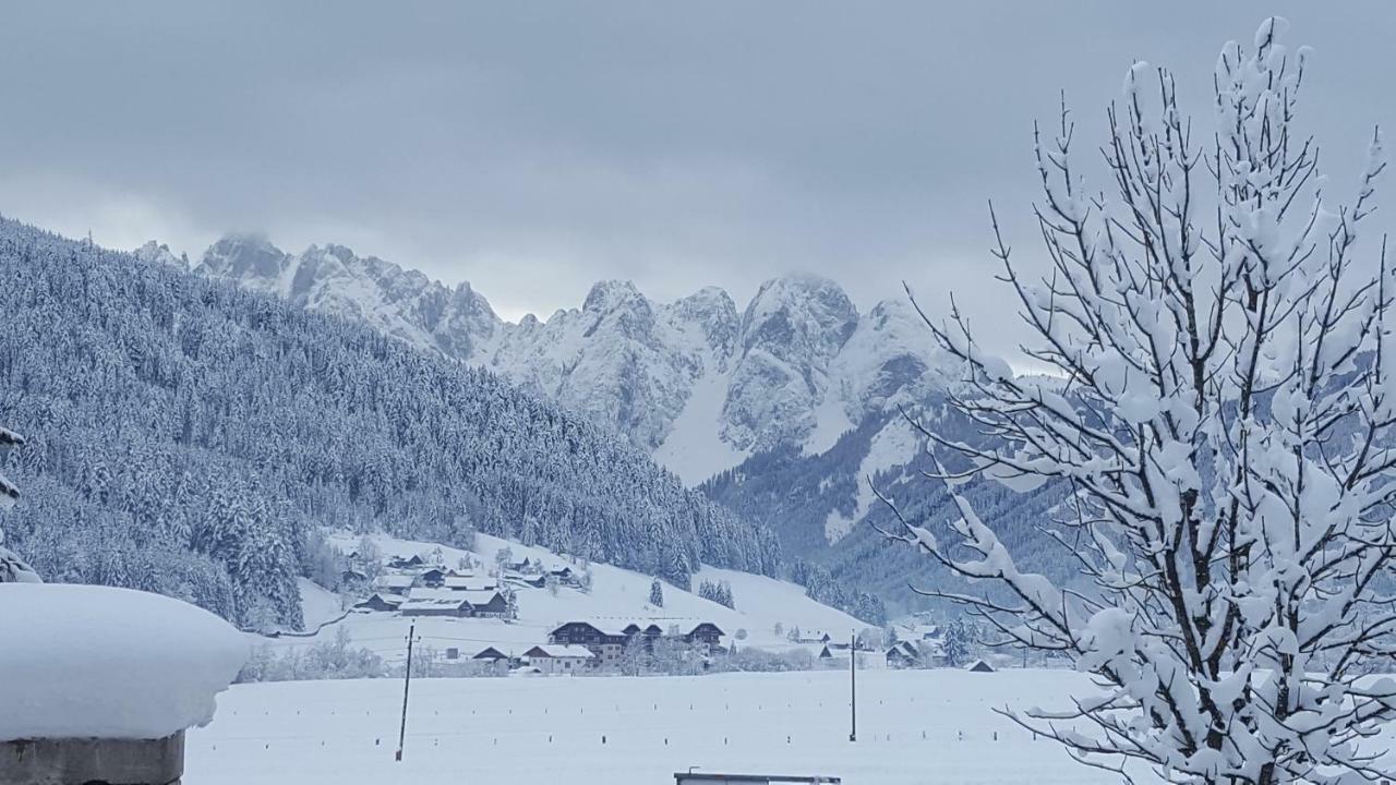Pension Edelweiss Appartement Wimmer Gosau Exterior foto